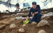 Kfir Arbib, een van de leiders van de opgraving, maakt een van de slingerstenen schoon. beeld Yoli Shwartz, Israëlische Oudheidkundige Dienst