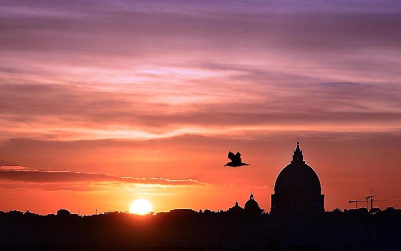 Het Vaticaan. beeld EPA