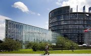 Het Europees Parlement in Straatsburg. beeld ANP, Lex van Lieshout