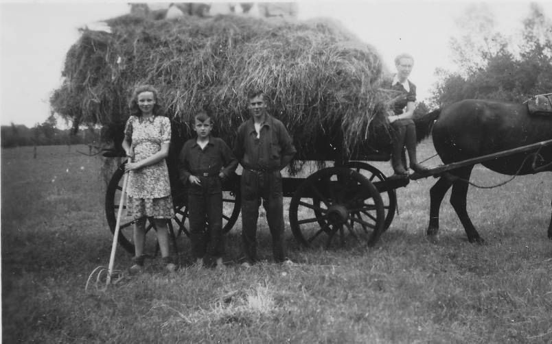 Hooiwagen omstreeks 1944 van de familie Van Galen uit Lunteren. beeld uit besproken boek