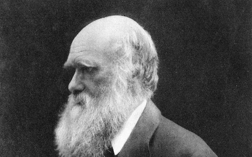 De school waar Darwin niet bestaat, kopte een Vlaams dagblad over Scholen met de Bijbel.                     Beeld Wikimedia