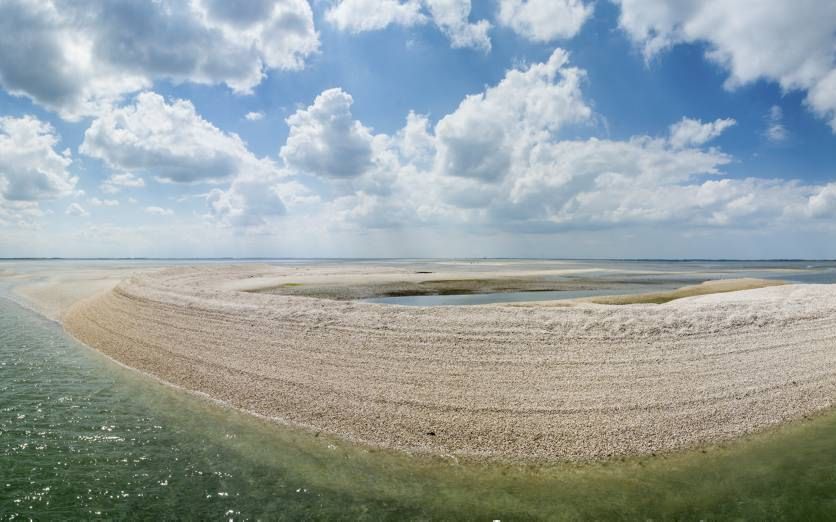 Luchtfoto van de Roggenplaat. Dankzij steun van het ministerie van Infrastructuur en Milieu blijft het voedsel- en rustgebied behouden. beeld Edwin Paree