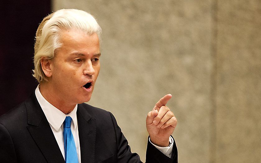 Wilders. Beeld ANP