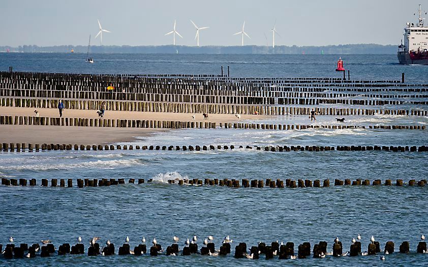 De kust bij Westkapelle. beeld ANP