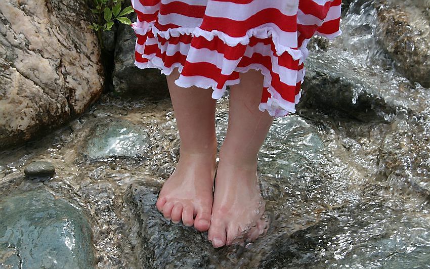 Kleine kiezelsteentjes, grote houtblokken en vooral veel waterstroompjes: het langste blotevoetenpad van Oostenrijk kan voor kinderen niet lang genoeg zijn. Foto RD