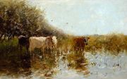 ”Koeien in het riet”, ca. 1890, olieverf op doek, 54,8x101,9 cm. Beeld Gemeentemuseum Den Haag