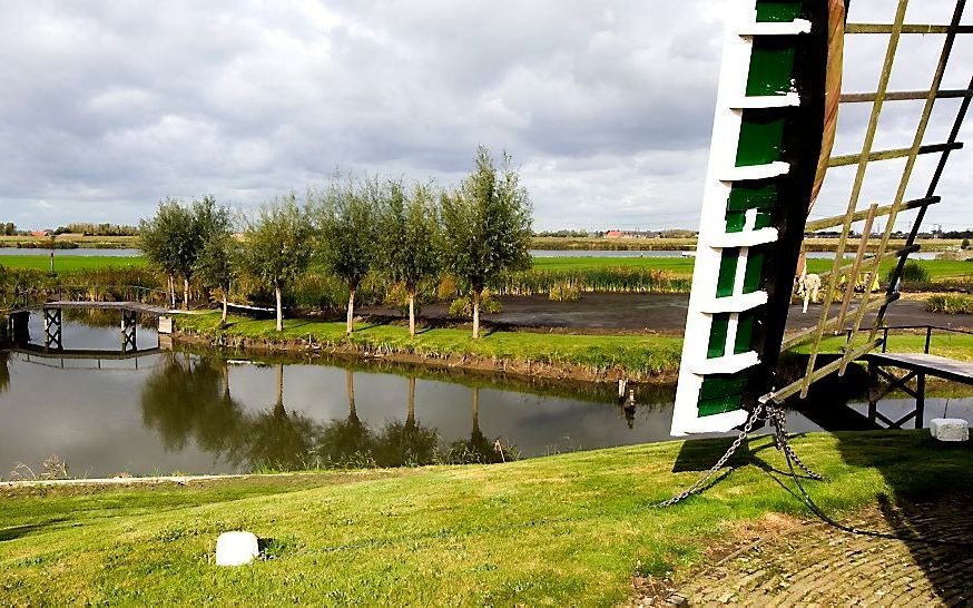 De Hoeksche Waard bij Nieuw-Beijerland vanaf een oude molen. beeld ANP, Koen Suyk