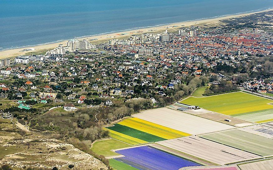 De bollenvelden bij Noordwijk. beeld ANP