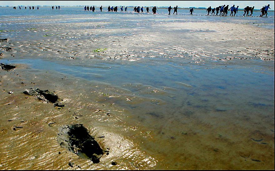 Wadlopers.    Foto ANP