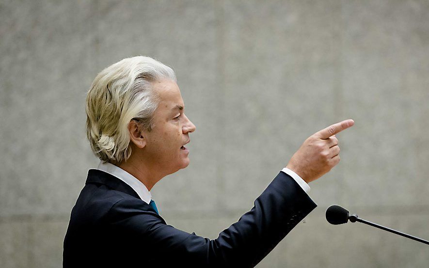 Wilders. Beeld ANP