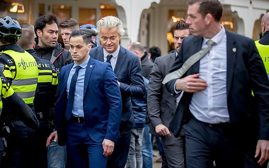 Wilders. beeld ANP