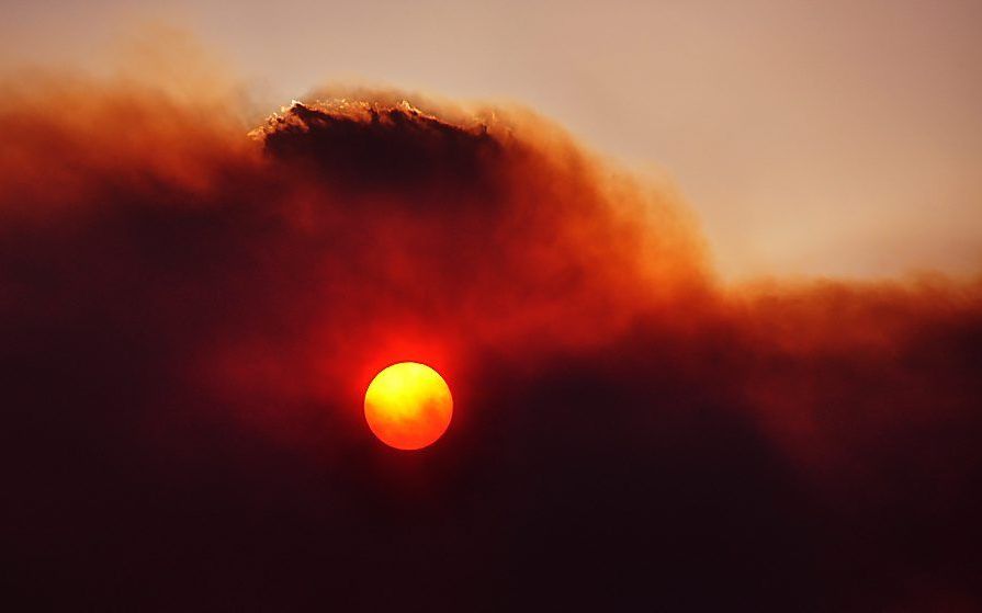 Tasmanië. Foto EPA