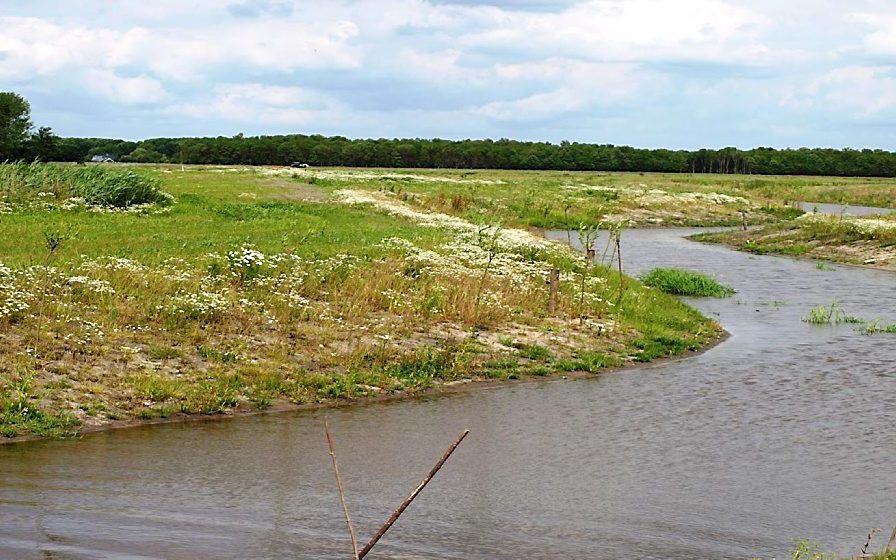 Reiderwolde, het gebied in het noorden van Groningen dat staatssecretaris Bleker van Landbouw en Milieu eerder aanprees als voorbeeldnatuurgebied. Foto Reiderwolde vof