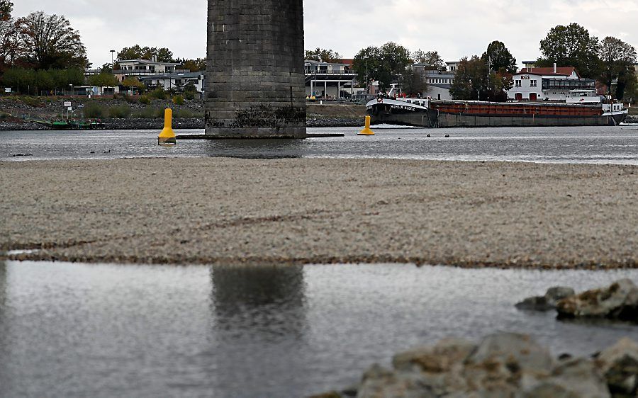 Laag water in de  Rijn bij Speyer, Duitsland. beeld EPA, Ronald Wittek