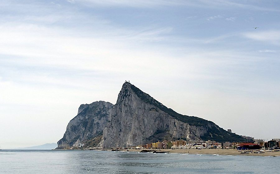 De grutto’s zijn dit jaar erg snel teruggekeerd van hun verblijf in Afrika. De trekroute loopt via Gibraltar. beeld AFP