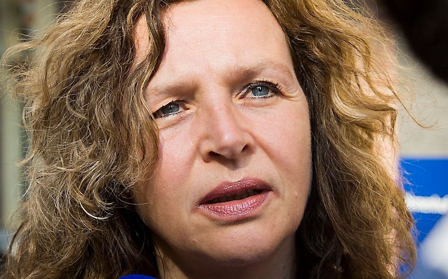 Minister Edith Schippers (Volksgezondheid). beeld ANP, Lex van Lieshout