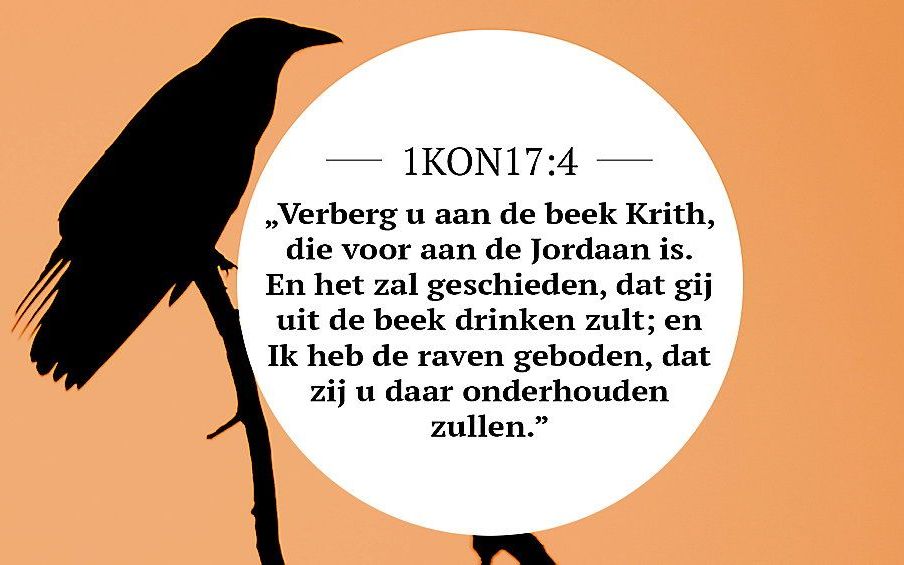 Meditatie | Een dienstknecht in quarantaine | 1 Koningen 17:2-4