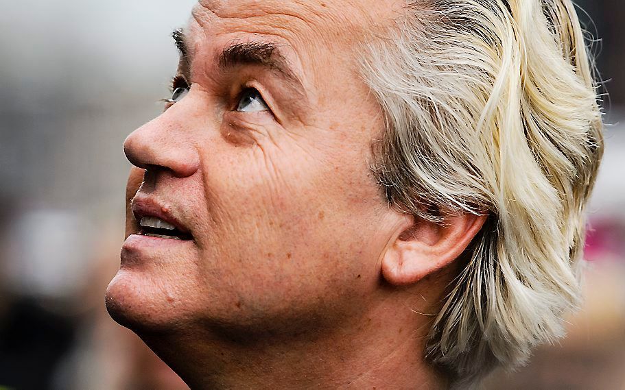 Wilders. beeld ANP