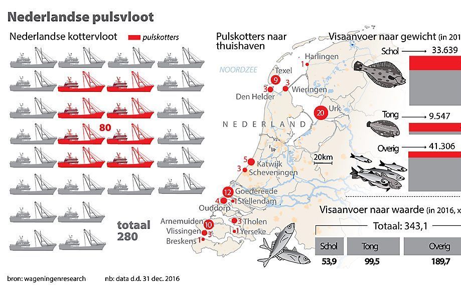 beeld ANP