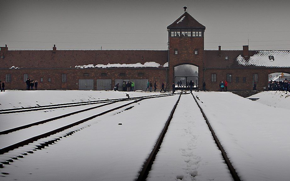 Auschwitz. beeld RD