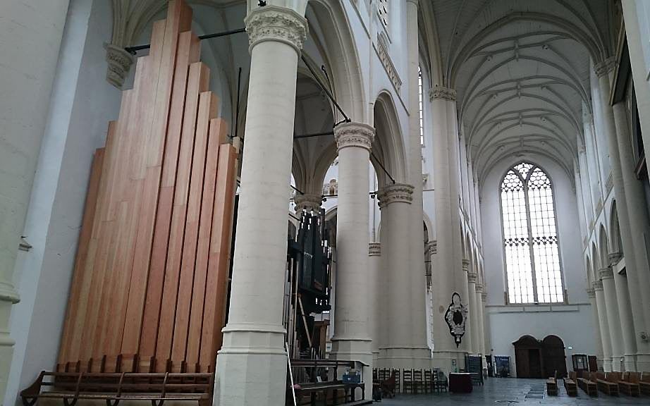 De nieuwe houten pijpen voor het Willisorgel in de Hooglandse Kerk in Leiden. beeld Stichting Cathedral Organ Leiden