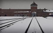 Auschwitz. beeld RD