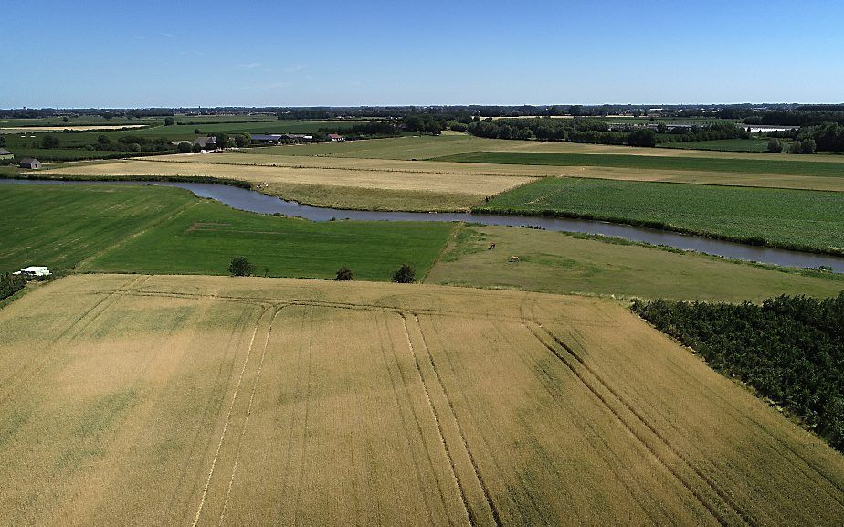 Droogte langs de Lingedijk bij Geldermalsen. beeld ANP