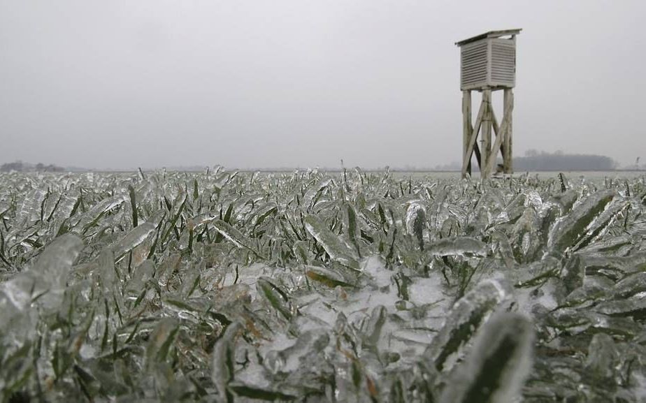 Een winters tafereel in Roodeschool, in het noordoosten van Groningen. beeld Jannes Wiersema