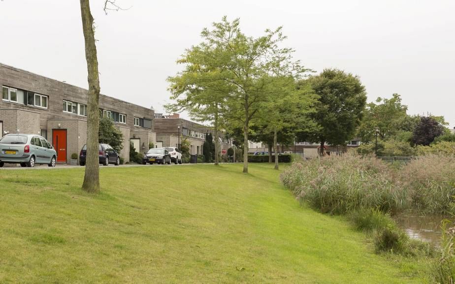 APELDOORN. Het Firmament is een groene, rustige straat met veel jonge gezinnen in de Apeldoornse wijk Osseveld-Oost. De straat is genomineerd voor de titel ”Leukste Straat van Nederland 2013”. De finale volgt zaterdag. Beeld André Dorst