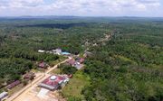 Grote bossen worden mogelijk gekapt om plaats te maken voor de beoogde nieuwe hoofdstad van Indonesië. beeld AFP