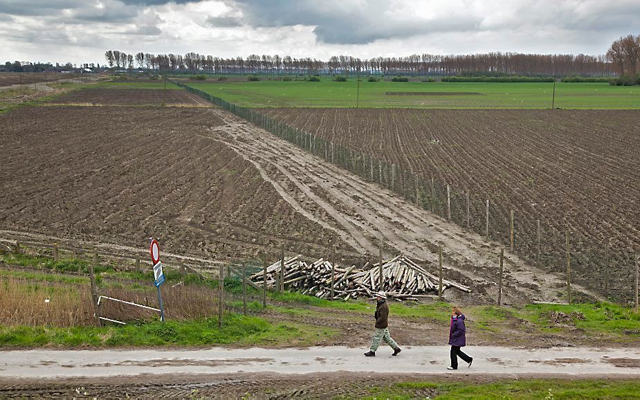 Hedwigepolder. Foto ANP