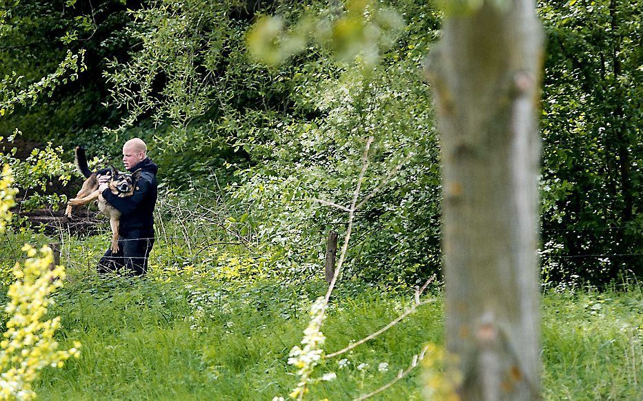 Een politieman tilt zijn speurhond over het prikkeldraad tijdens de zoektocht naar de twee vermiste broers Julian (7) en Ruben (9) in het Limburgse Bunderbos.  Foto ANP