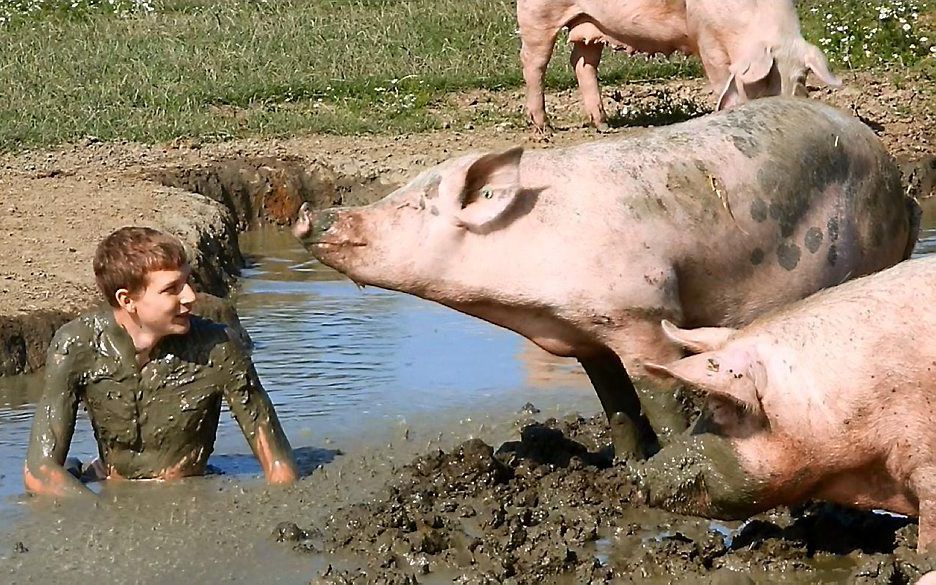 De 18-jarige Jochem van de Bogert wilde aan den lijve ondervinden wat varkens ervaren als ze een modderbad nemen. beeld VidiPhoto