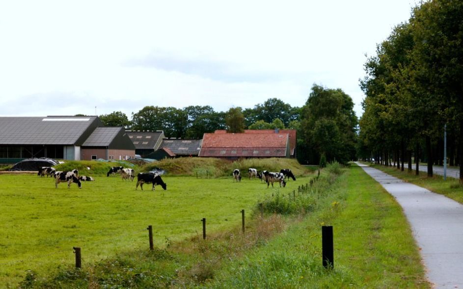 „De onzekerheid voor de landbouwsector zal blijvend groot zijn.” beeld iStock