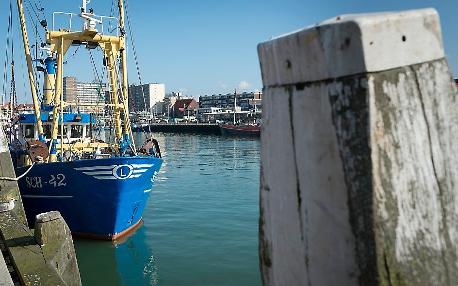 Vissersboot in de haven van Scheveningen. beeld ANP