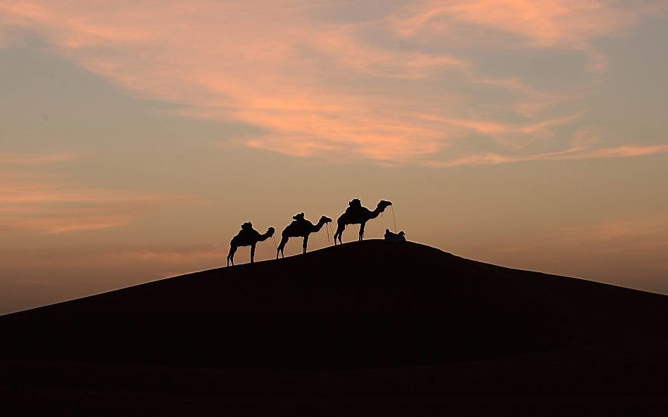 De Sahara. beeld AFP