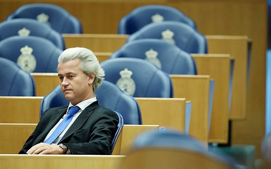 PVV-leider Wilders. beeld ANP