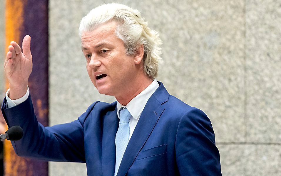 Wilders. beeld ANP