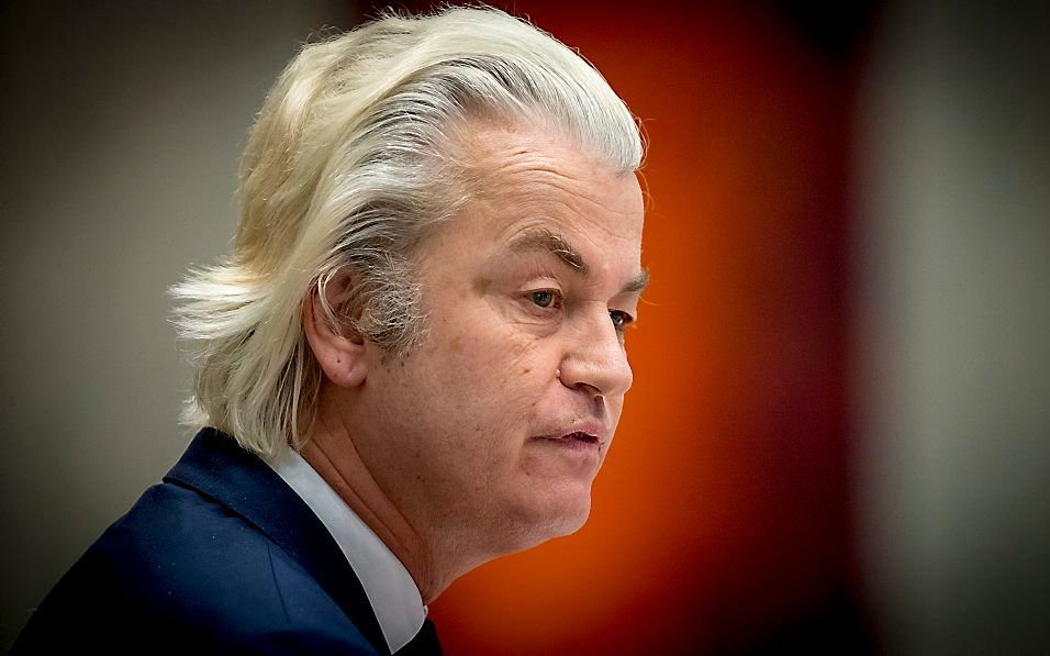 Wilders. beeld ANP