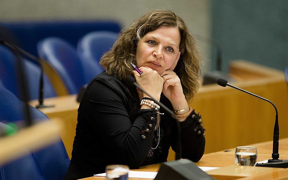 Minister Schippers van Volksgezondheid. beeld ANP