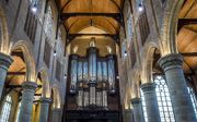 Het orgel van de Nieuwe Kerk in Delft. beeld ANP, Lex van Lieshout