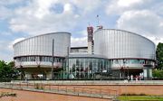 Her Europees Hof voor de Rechten van de Mens, in Straatsburg. beeld Zairon/Wikimedia