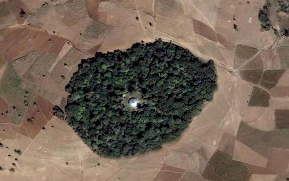 Een kerkgebouw van de Ethiopisch-Orthodoxe Kerk, omringd door een bos. Dit soort bossen zijn enorm belangrijk voor de landbouw en de biodiversiteit, vooral in het midden en noorden van Ethiopië. beeld Alemayehu Wassie