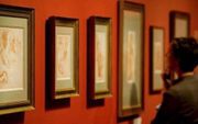 Het Teylers Museum in Haarlem wijdt vanaf 5 oktober een expositie aan Da Vinci. beeld ANP