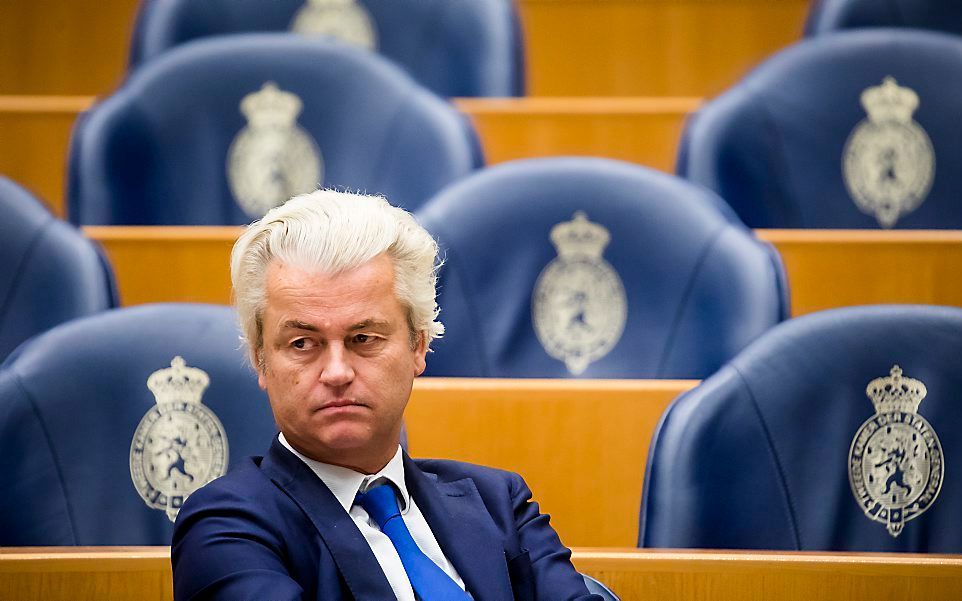 Wilders. beeld ANP