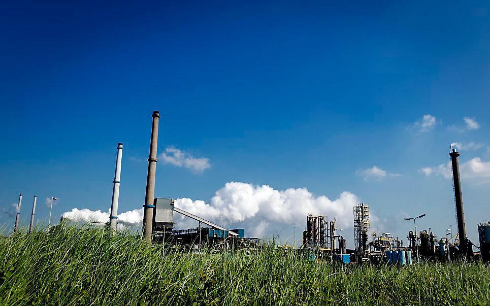 De hoogovens van staalbedrijf Tata Steel in IJmuiden. beeld ANP