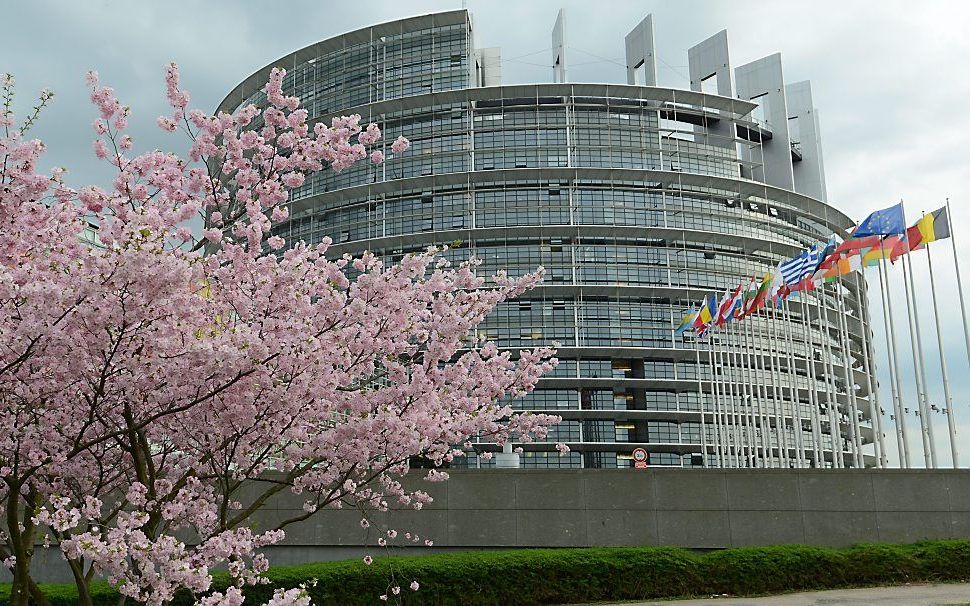 Het Europese Parlement in Straatsburg. Beeld EPA