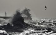 De kust bij het Engelse Newhaven, donderdag. beeld AFP