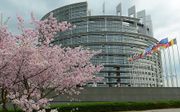 Het Europese Parlement in Straatsburg. Beeld EPA