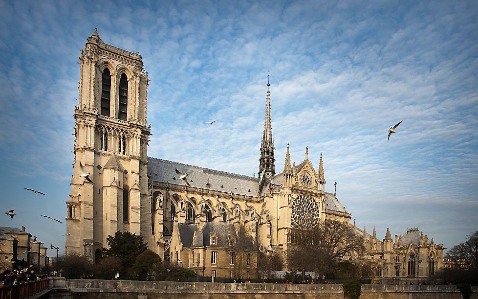 Notre Dame in Parijs.  beeld RD, Henk Visscher